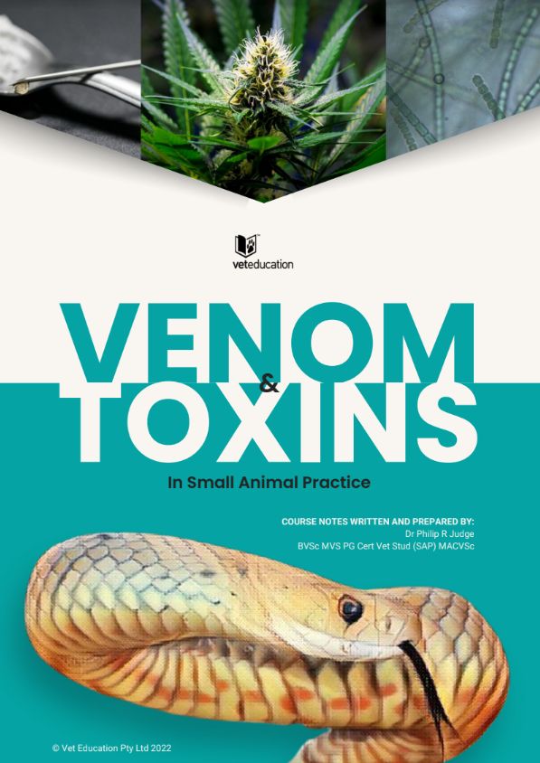 Veteducation All Courses - Download Modern Vintage Pattern | HD